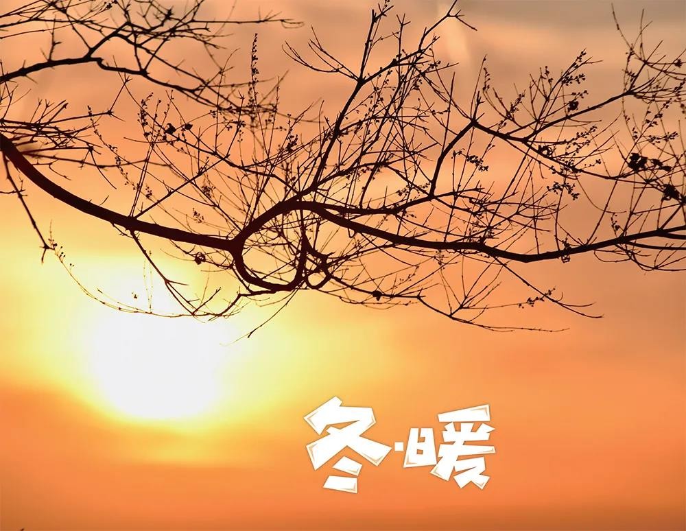 “职教高考”究竟是什么样的高考
