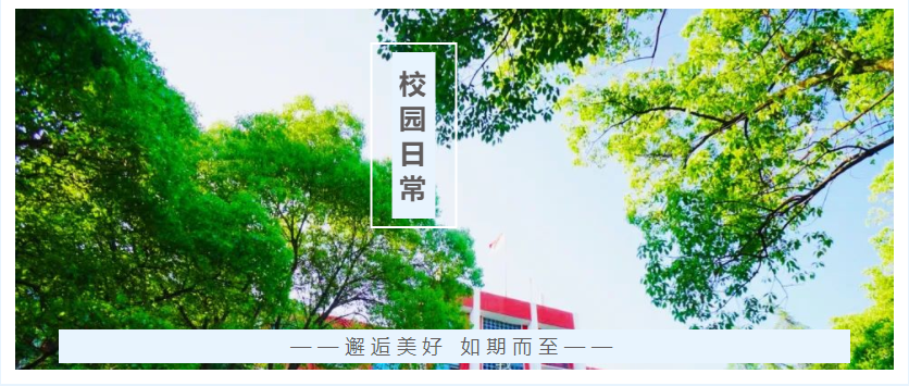 邂逅美好，如期而至